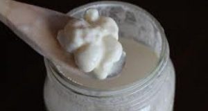Kefir – 1000 year cure – long-held secret for  blood pressure, cholesterol, stomach diseases, bowel disease – here’s how to make it in your own home