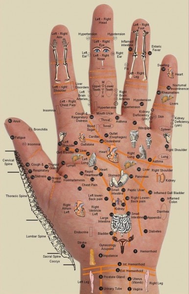 palms hand