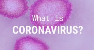 Here’s what coronavirus does to the body