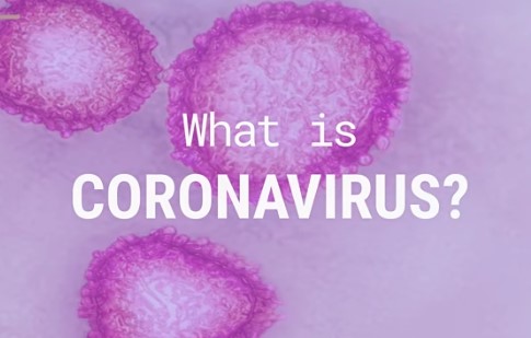 Here’s what coronavirus does to the body