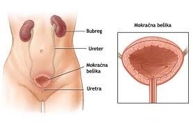 Do you have frequent, painful urinary tract infection?